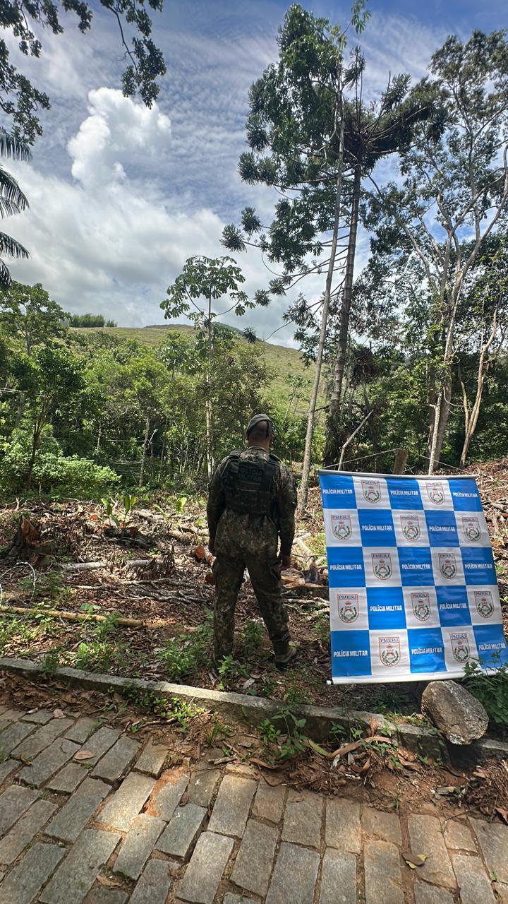 5ª UPAm se depara com corte irregular de árvores em Bom Jardim após denúncia feita ao Linha Verde